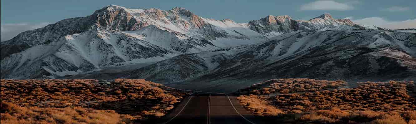 Awrusa com terms image