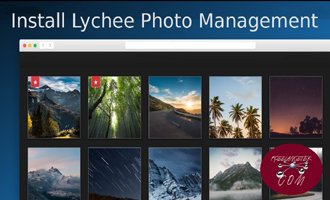 Lychee Website Hosting
