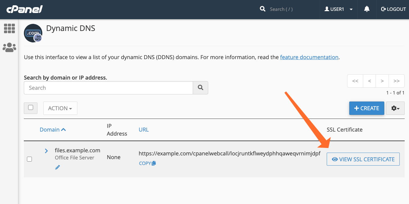 Dynamic SSL DNS