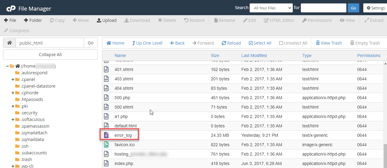 How to View the Error Logs in cPanel