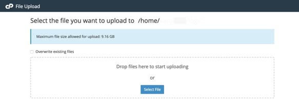 uploads