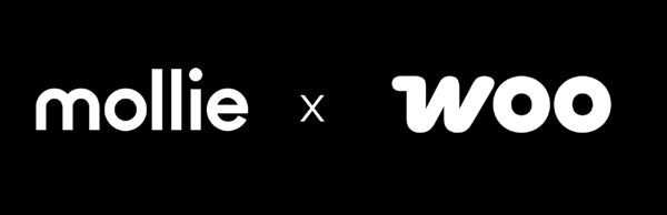 Quickly integrate all major payment methods in WooCommerce