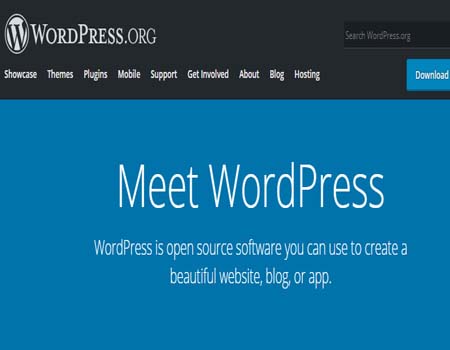 WordPress Website 